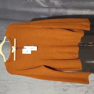 Treasure and Bond V-Neck Sweater